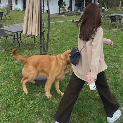 继续跳舞